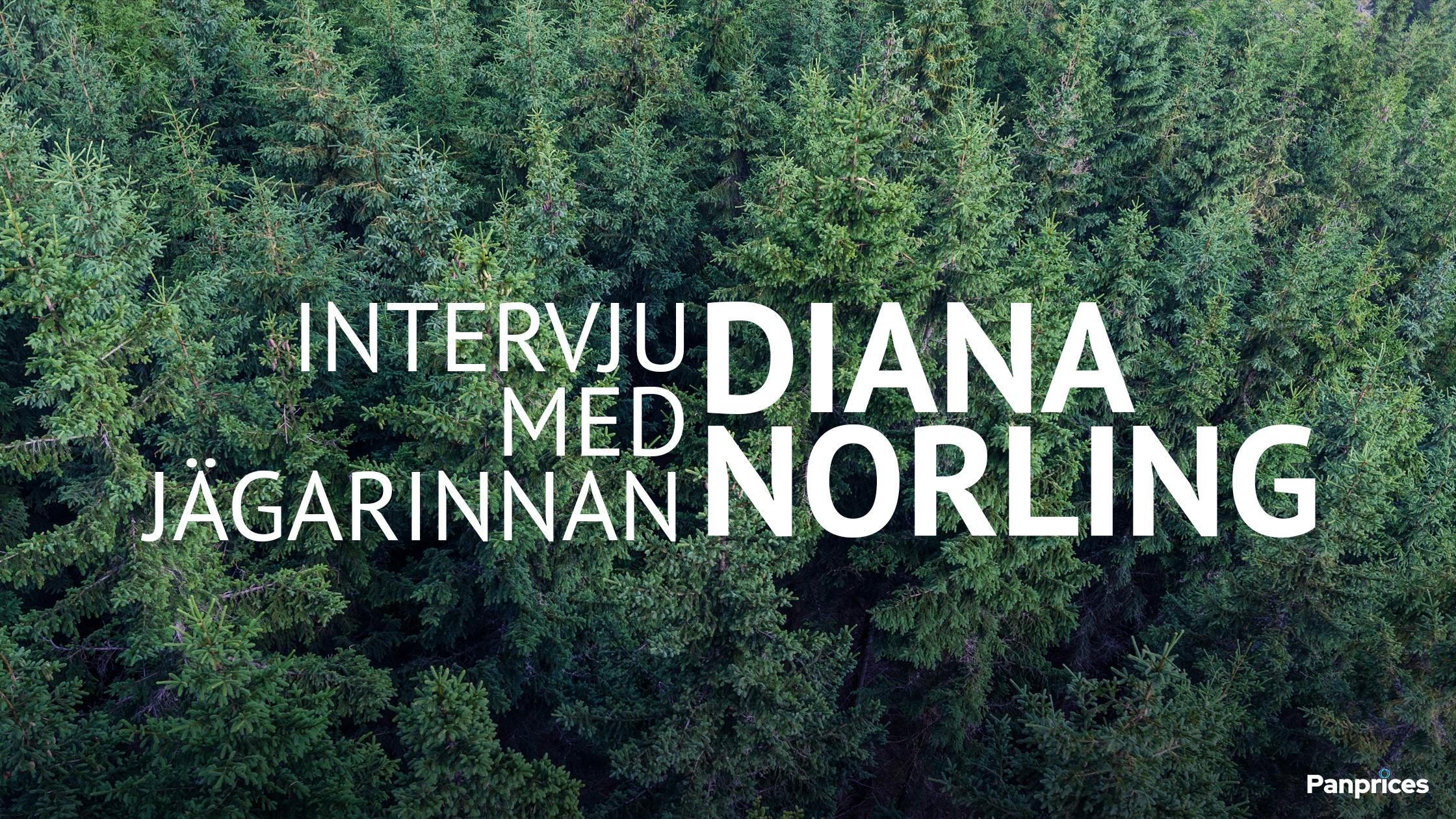 Intervju med jägarinnan Diana Norling