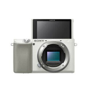 SONY Alpha a6100 Mirrorless Digital Camera Silver (Body Only)